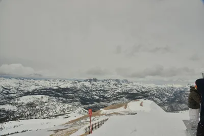 DSC_6698 (Large).JPG